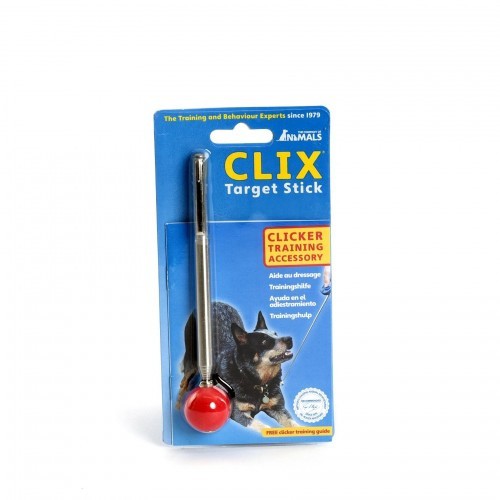 Pointer para adestramento de cães