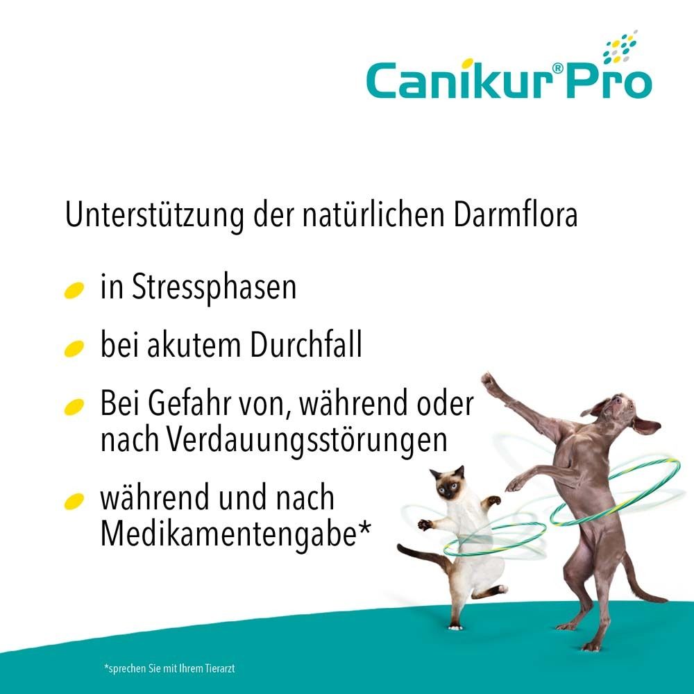 Canikur®Pro – zur Unterstützung der natürlichen Darmflora – Diät-Ergänzungsfuttermittel für Hunde und Katzen