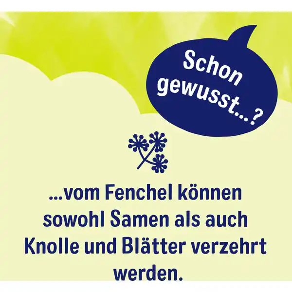 Bio Fenchel Tee