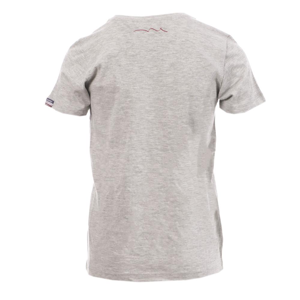 Teddy Smith T-shirt Gris Garçon Teddy Smith Twiga
