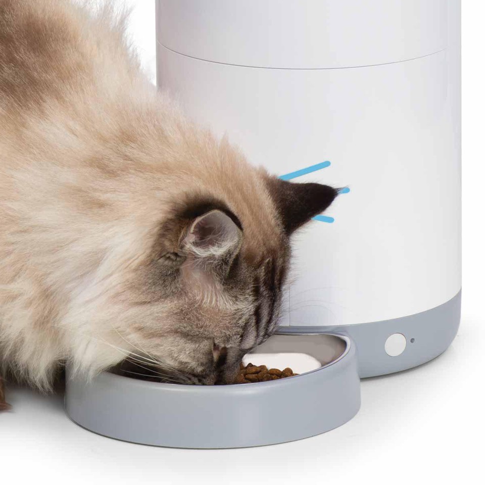 CATIT - Catiti Pixi Vision Smart Feeder Foderautomat med Kamera og tovejs kommunikation