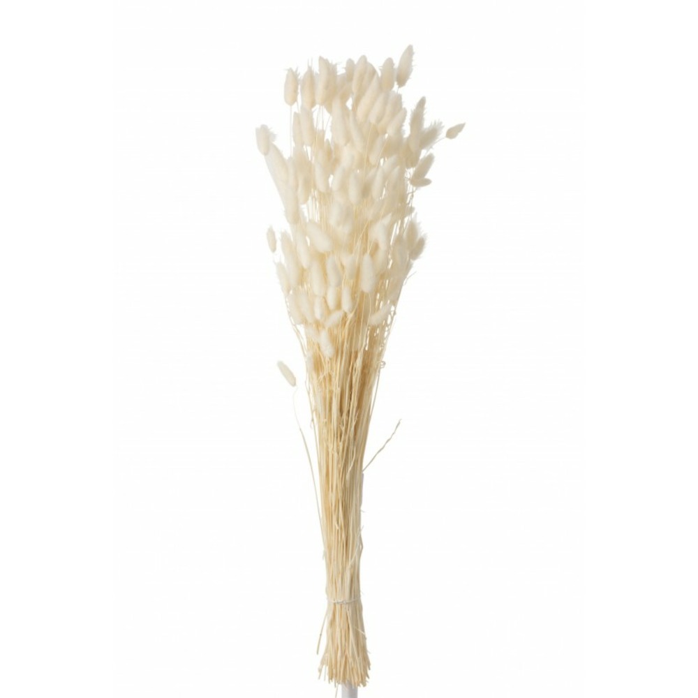 Bouquet de fleurs sèchées en bois blanc 85x14x3 cm