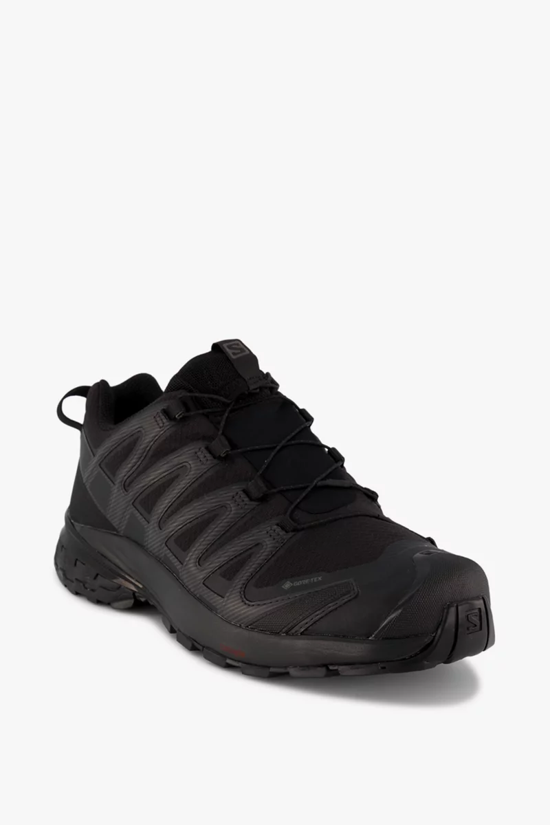 Salomon XA Pro 3D v8 Gore-Tex® Herren Trekkingschuh