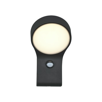 GAMMA buitenlamp Whiston zwart met bewegingssensor