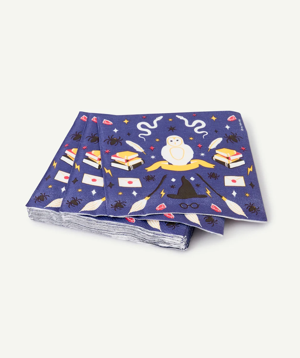 MY LITTLE DAY16 SERVIETTES SORCIER