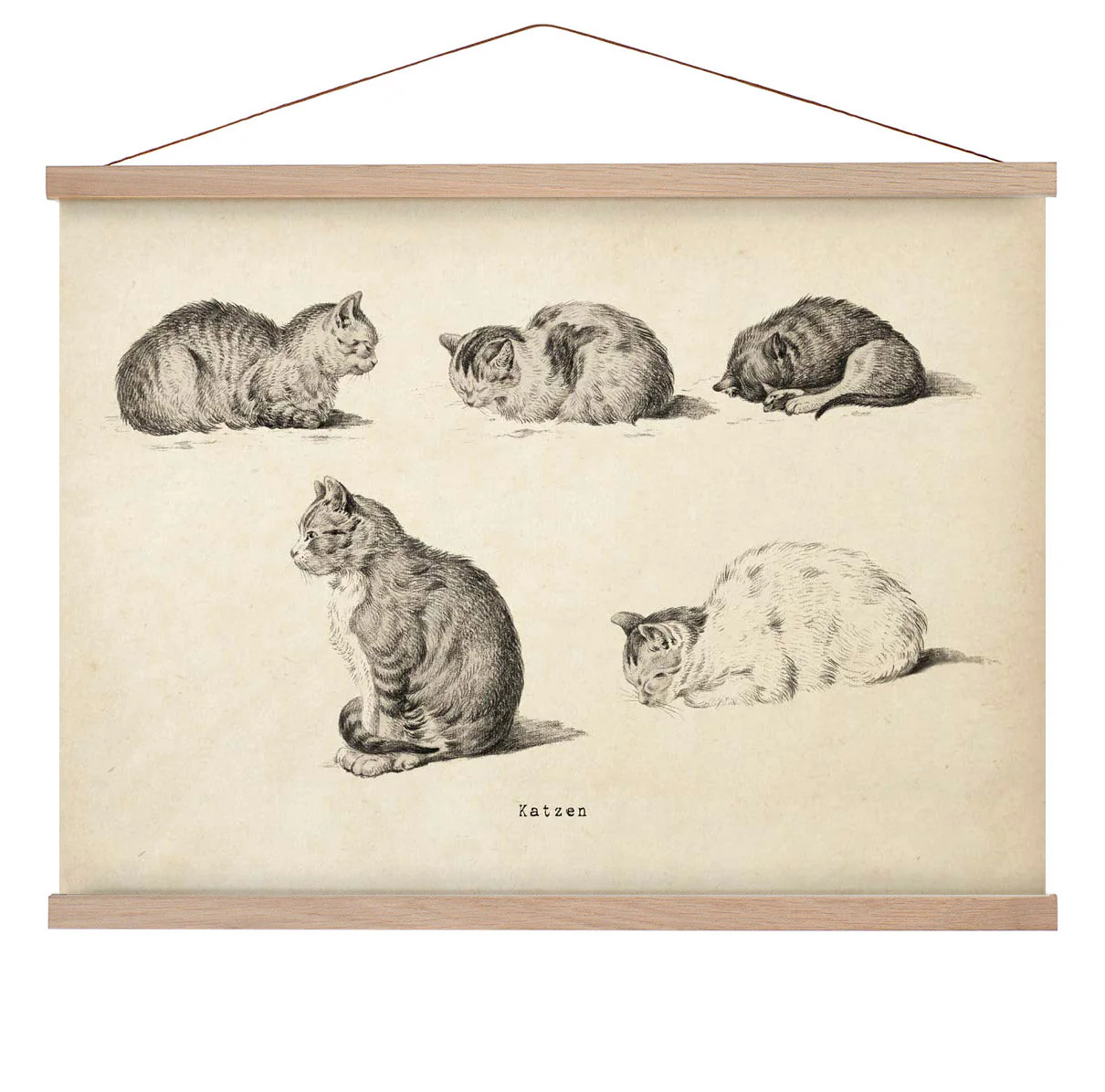 Antike Katzen