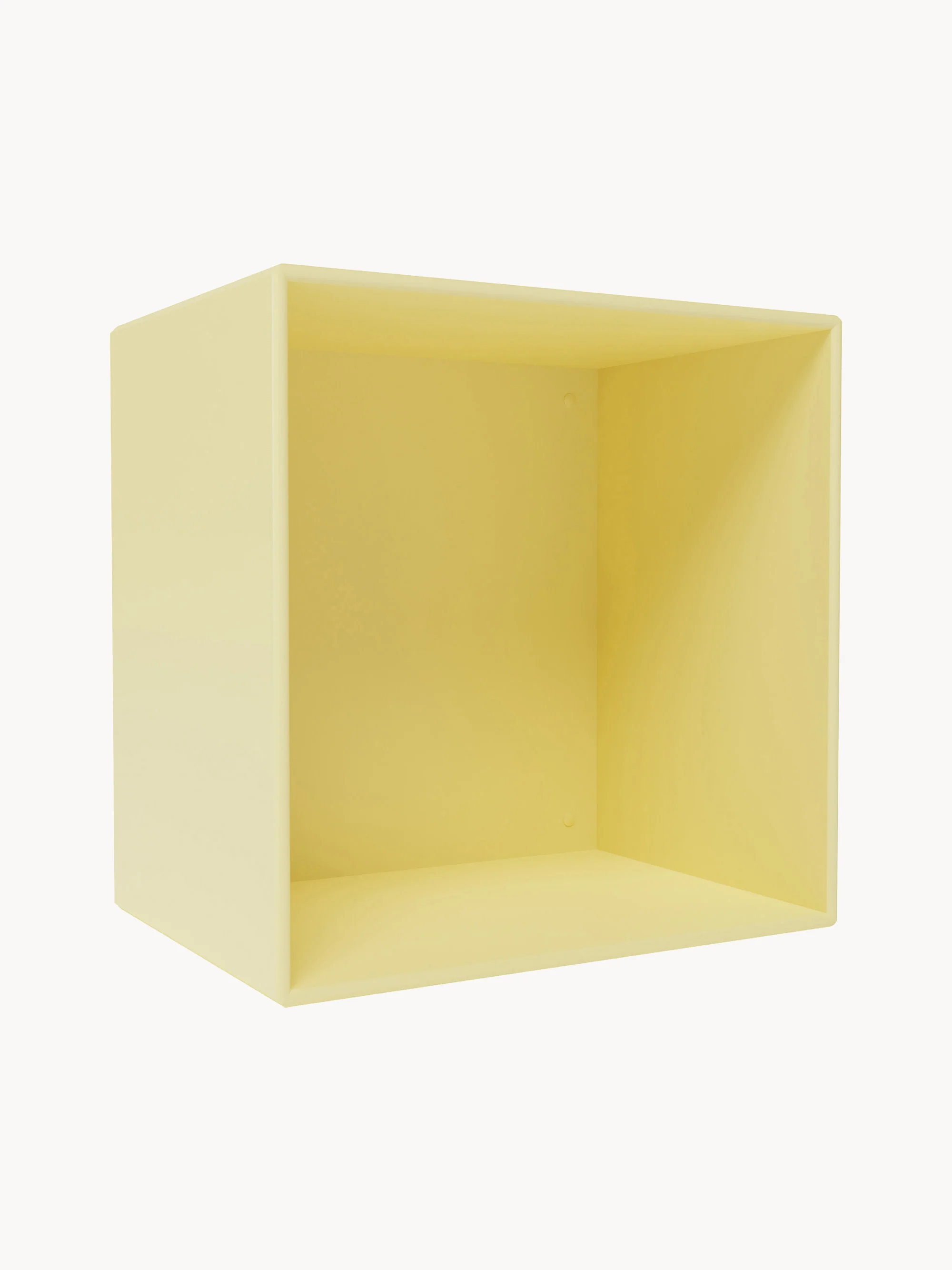 Module Mini 1001