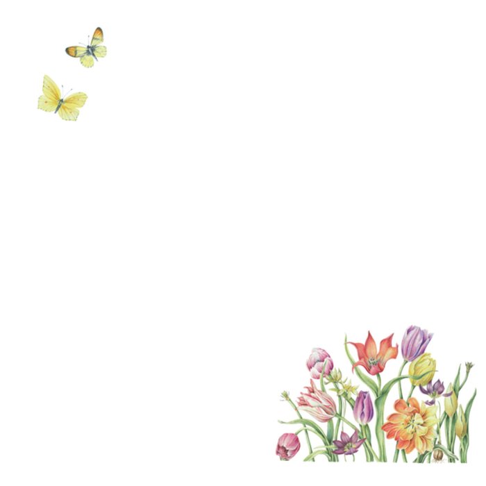 Vrolijke gekleurde felicitatiebloemen