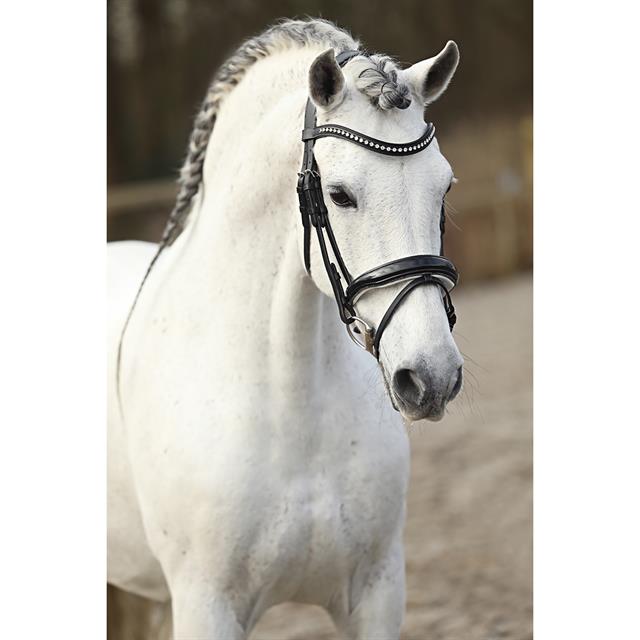 Hoofdstel HORSEGEAR HGLucido Zwart-wit
