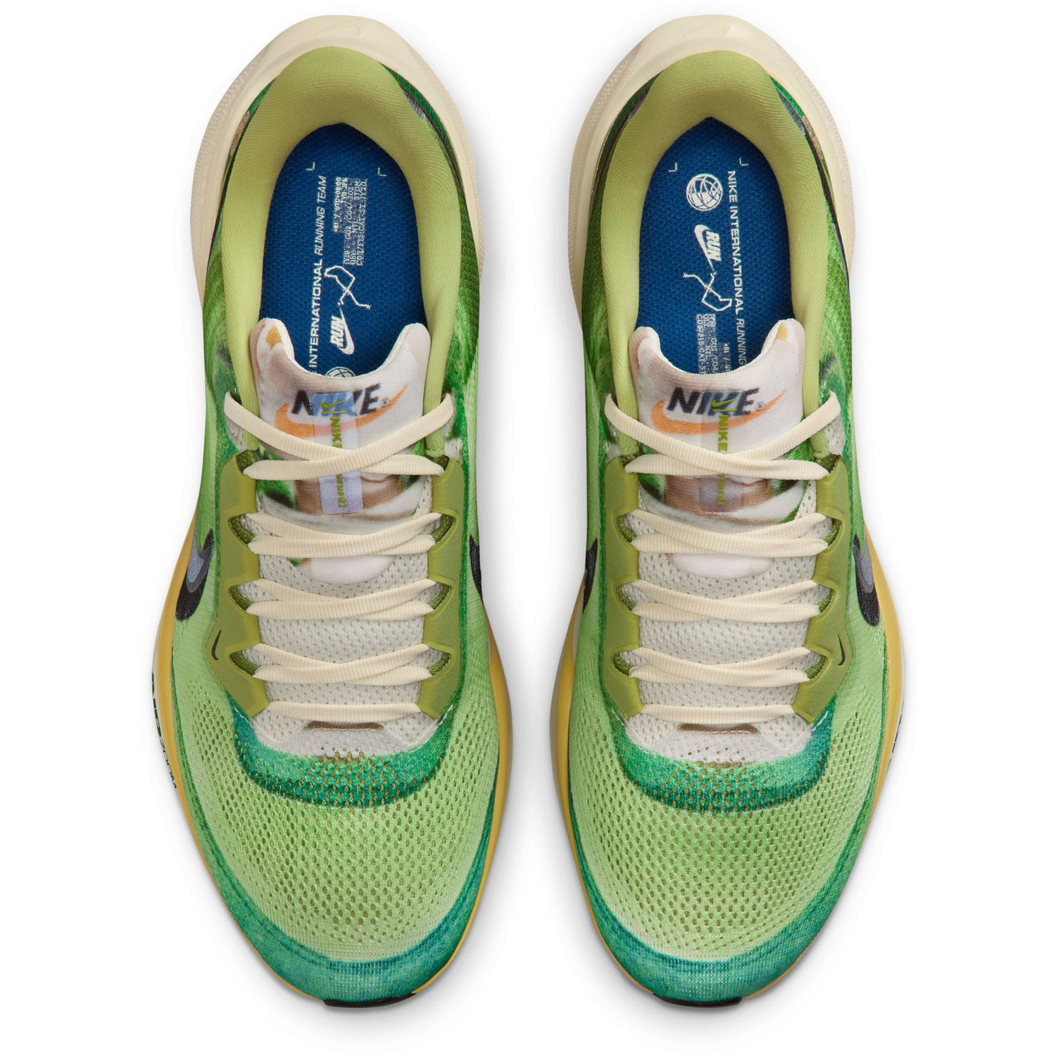 Nike Pegasus 41 SE Heren