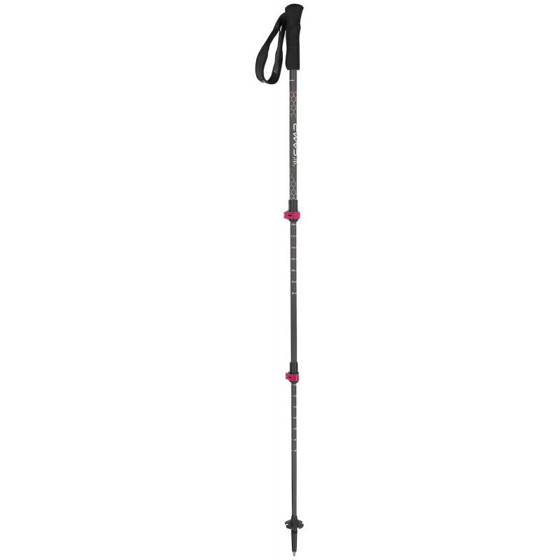 Backcountry Carbon - Bâtons randonnée femme