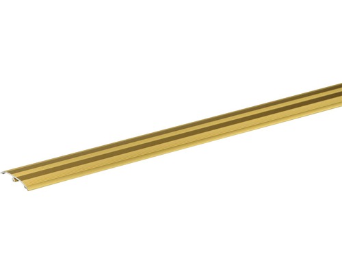 SKANDOR Dowel-Fix nr. 6 Goud Geanodiseerd 5,5x37,5x900 mm