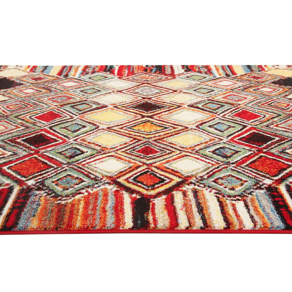 Dutch Lifestyle - Polypropyleen - Vloerkleed - 160x230 cm - Multikleur