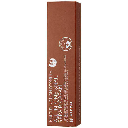 Mizon - All In One Snail Repair Cream