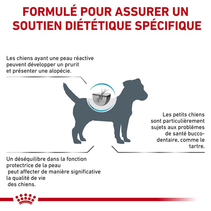 Royal Canin Veterinary Canine Skin Care Small Dog