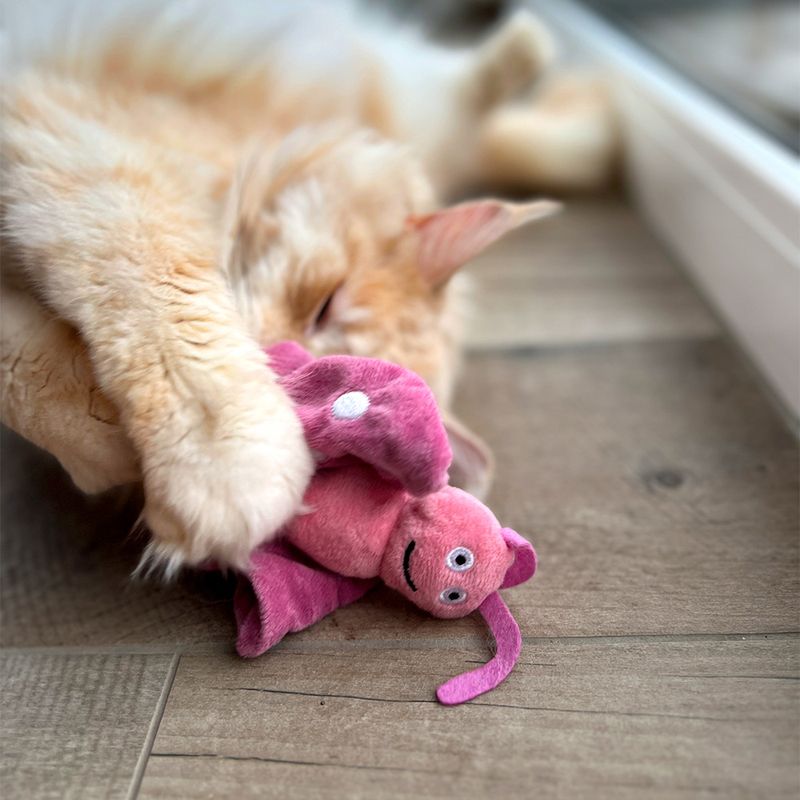 Jouet Aumüller Papillon Viola à la menthe à chat