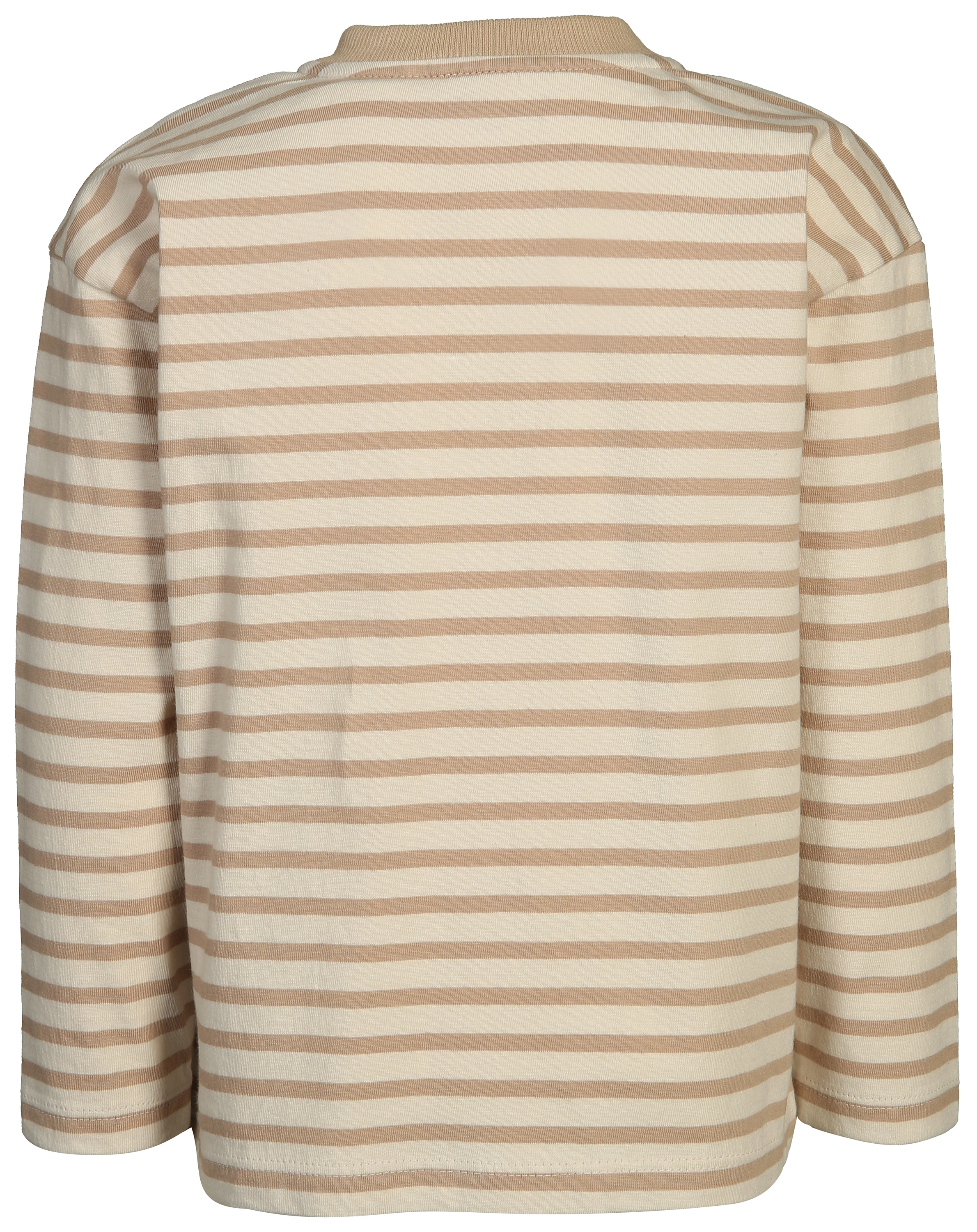 Langarmshirt FUTURE BEGINS gestreift in hazel