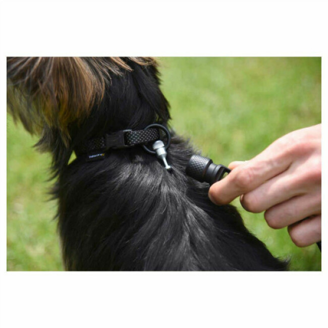 Laisse aimantée GoLeyGo Kerbl ronde pour chien