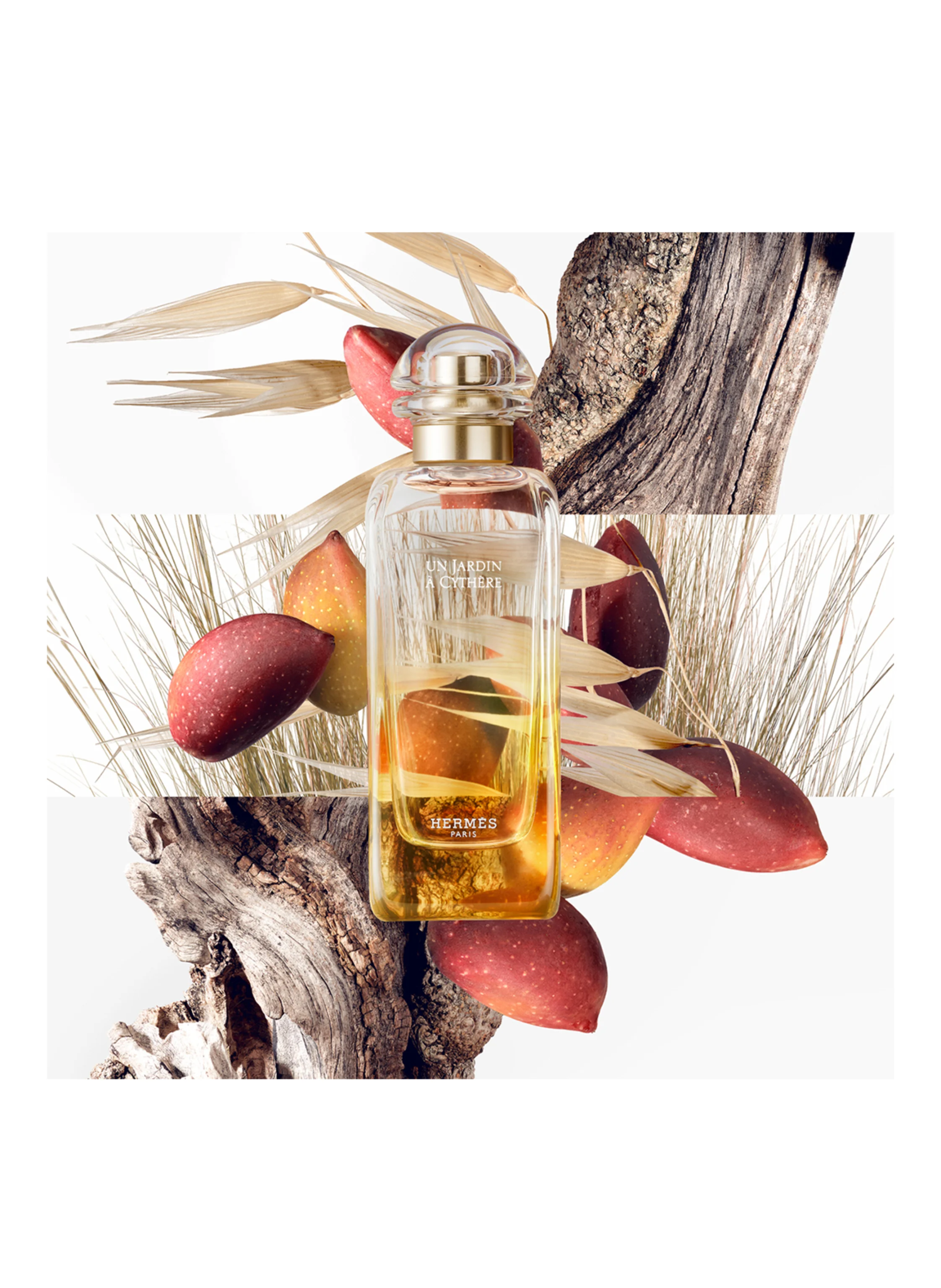 HERMÈS UN JARDIN À CYTHÈRE