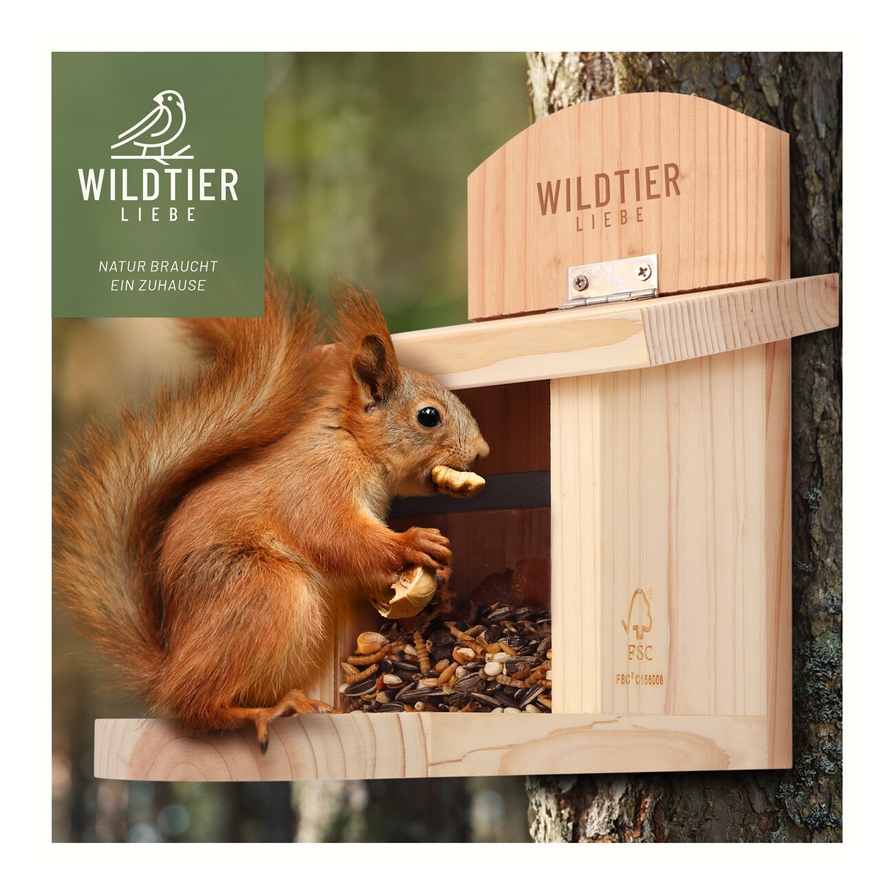 wildtier liebe Eichhörnchen Futterhaus