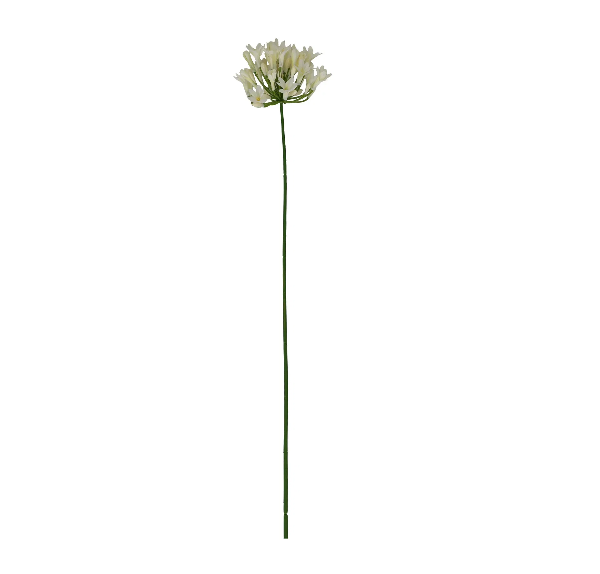Allium snitt kunstig Høyde 75 cm
