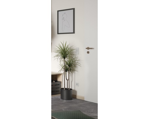 Kamerplanten Groen Mix FloraSelf H 120-140 cm Ø 24 cm Pot diverse soorten 1 st.