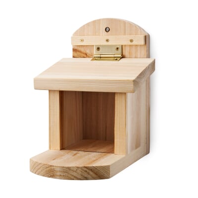 Eichhörnchen-Futterstation