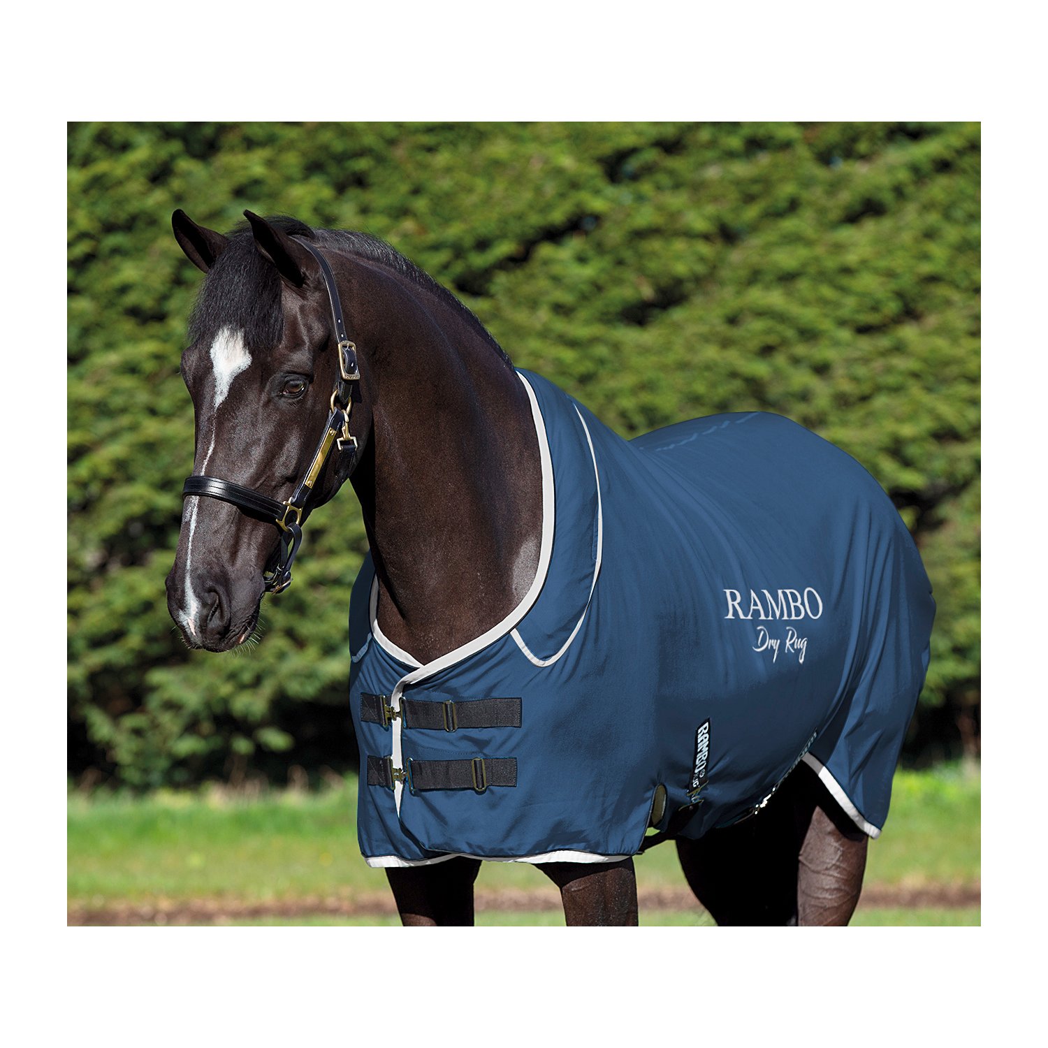 Horseware Abschwitzdecke RAMBO Dry Rug Supreme - navy