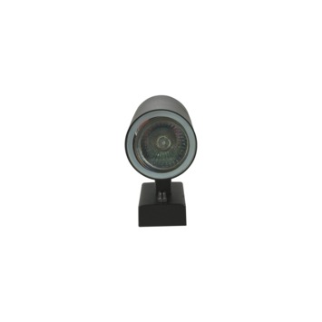 GAMMA buitenlamp Edmonton zwart 2-lichts