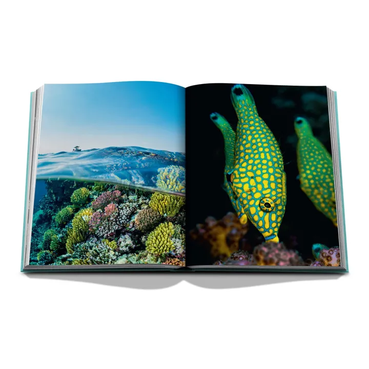 Assouline Red Sea : Arabie Saoudite