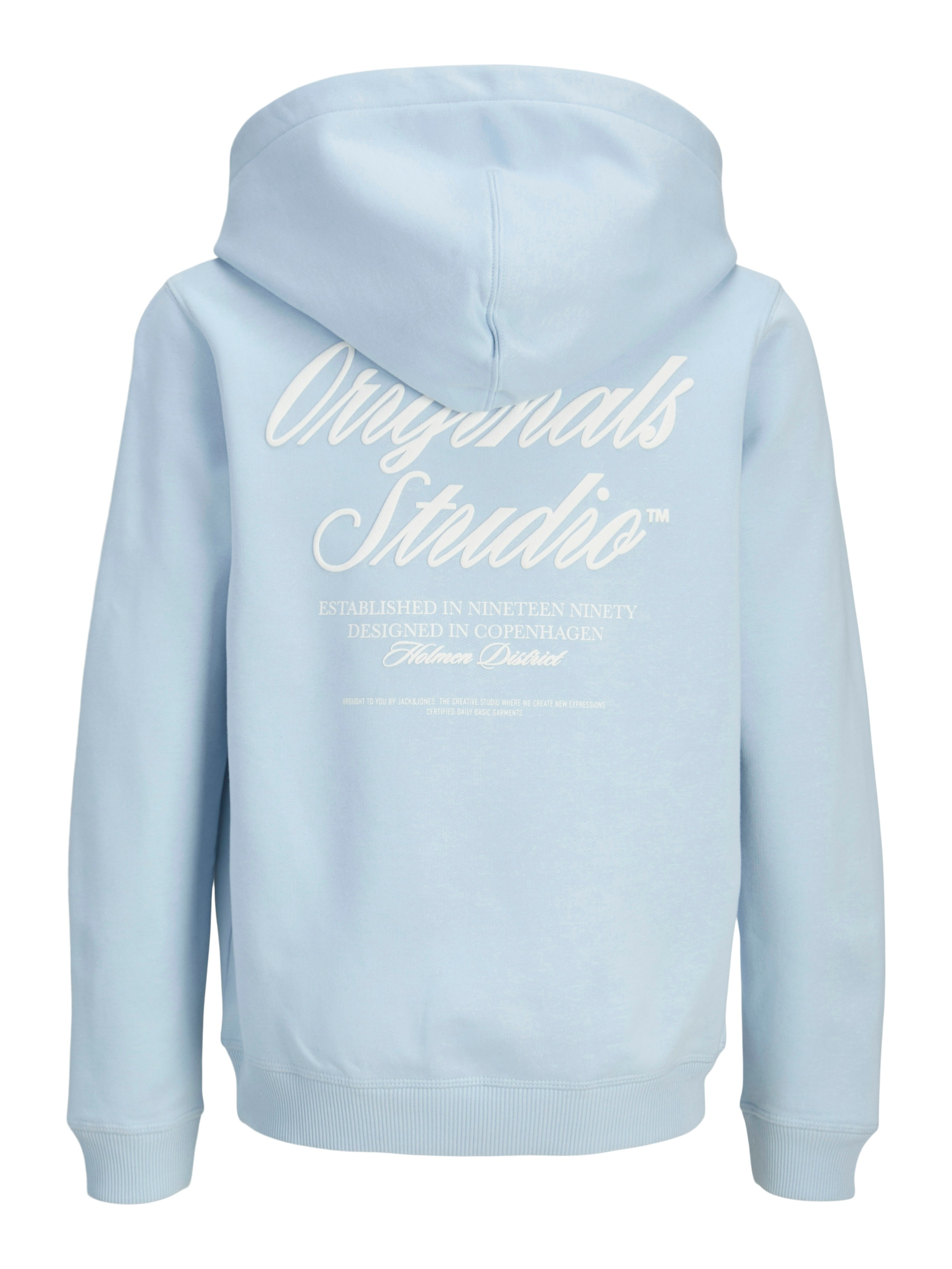 Jack & Jones Junior Kapuzensweatshirt »JORNORREBRO TYPO BACK SWEAT HOOD SN JNR«