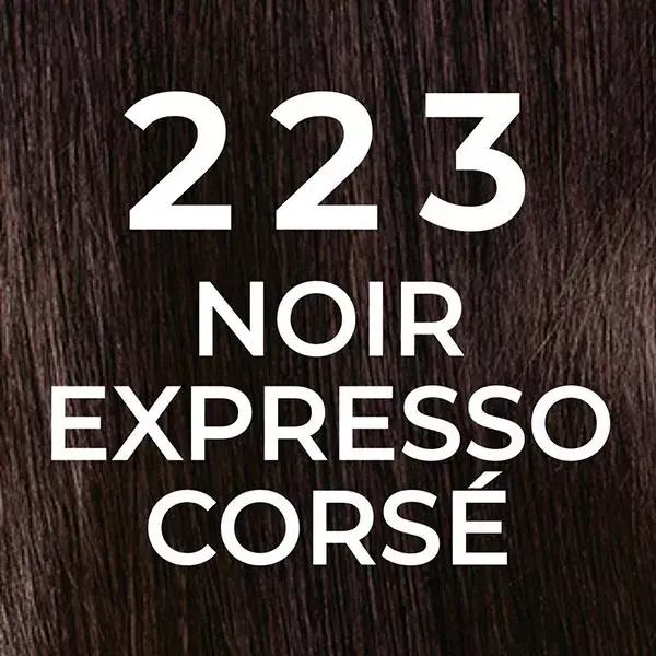 L'Oréal Paris Casting Natural Gloss Coloração para Cabelo 223 Preto Espresso Intenso