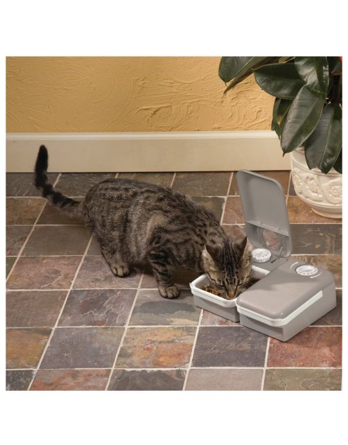 Petsafe Voersysteem Automatisch - Kattenvoerbak - 150 g Wit Grijs