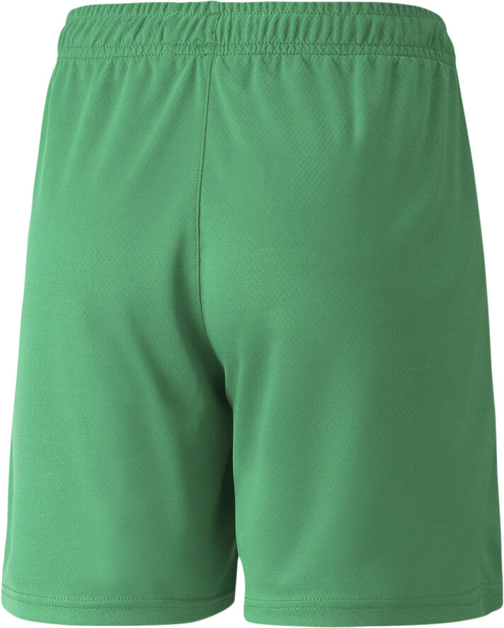 Puma Neymar Jr Copa shorts Grøn