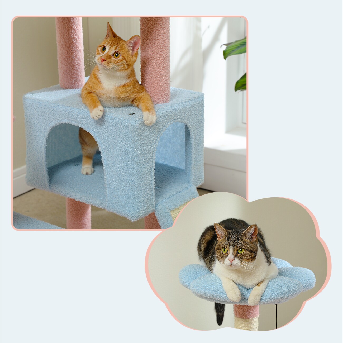Pawz Road Kratzbaum Blume Sisal