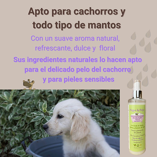 Peppo and Pets - Spray condicionador feito com ingredientes naturais para cães - Com óleo de jojoba