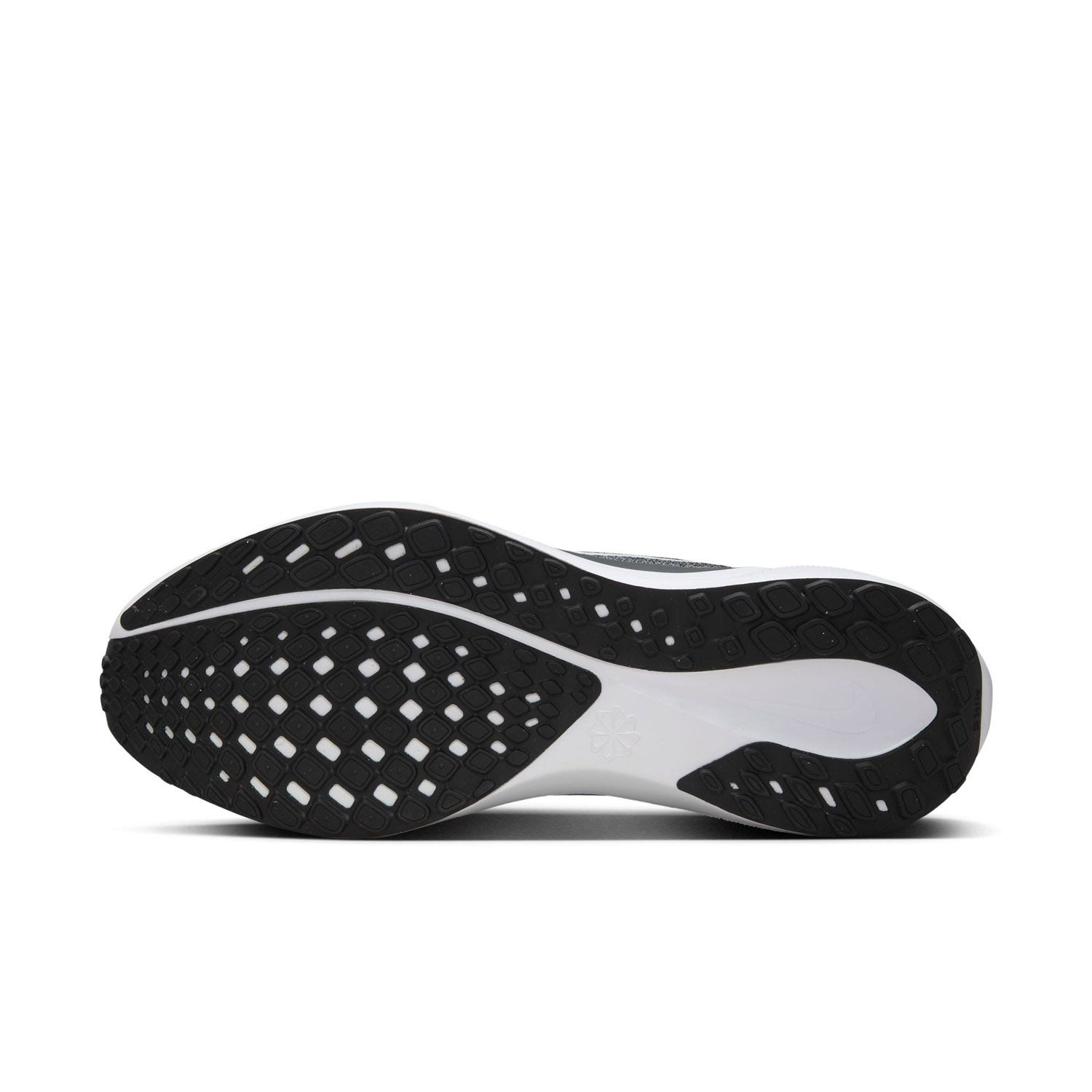Nike  Pegasus 41