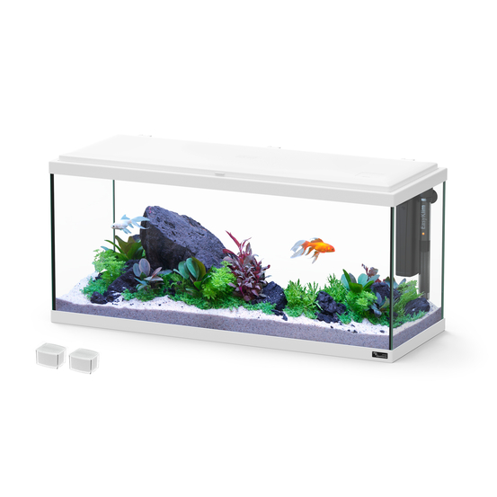 Aquarium Explorer Amsterdam 80 blanc : L.80xP.30xH.37 cm - 85 litres
