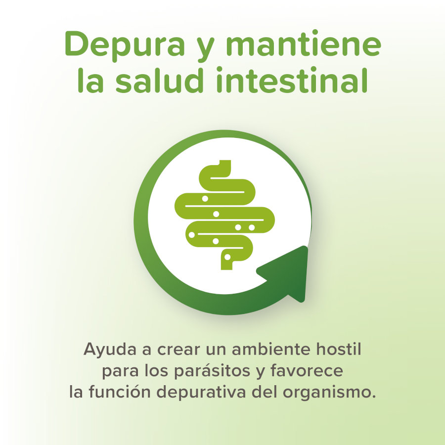 Beaphar VERMIpure Repelente Líquido Natural Interno para Gatos