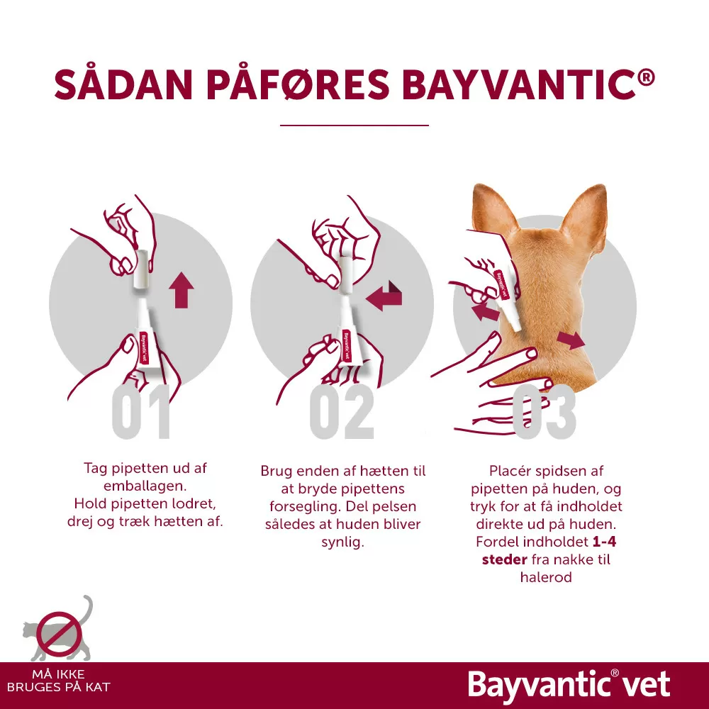 Bayvantic Vet. til hunde - 10-25 kg