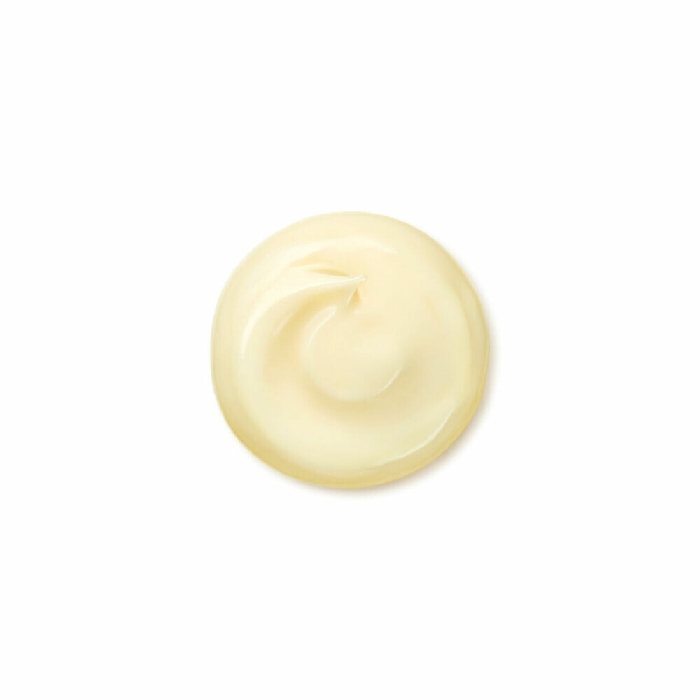 Shiseido Benefiance Wrinkle Smoothing Cream Enriched50 ml