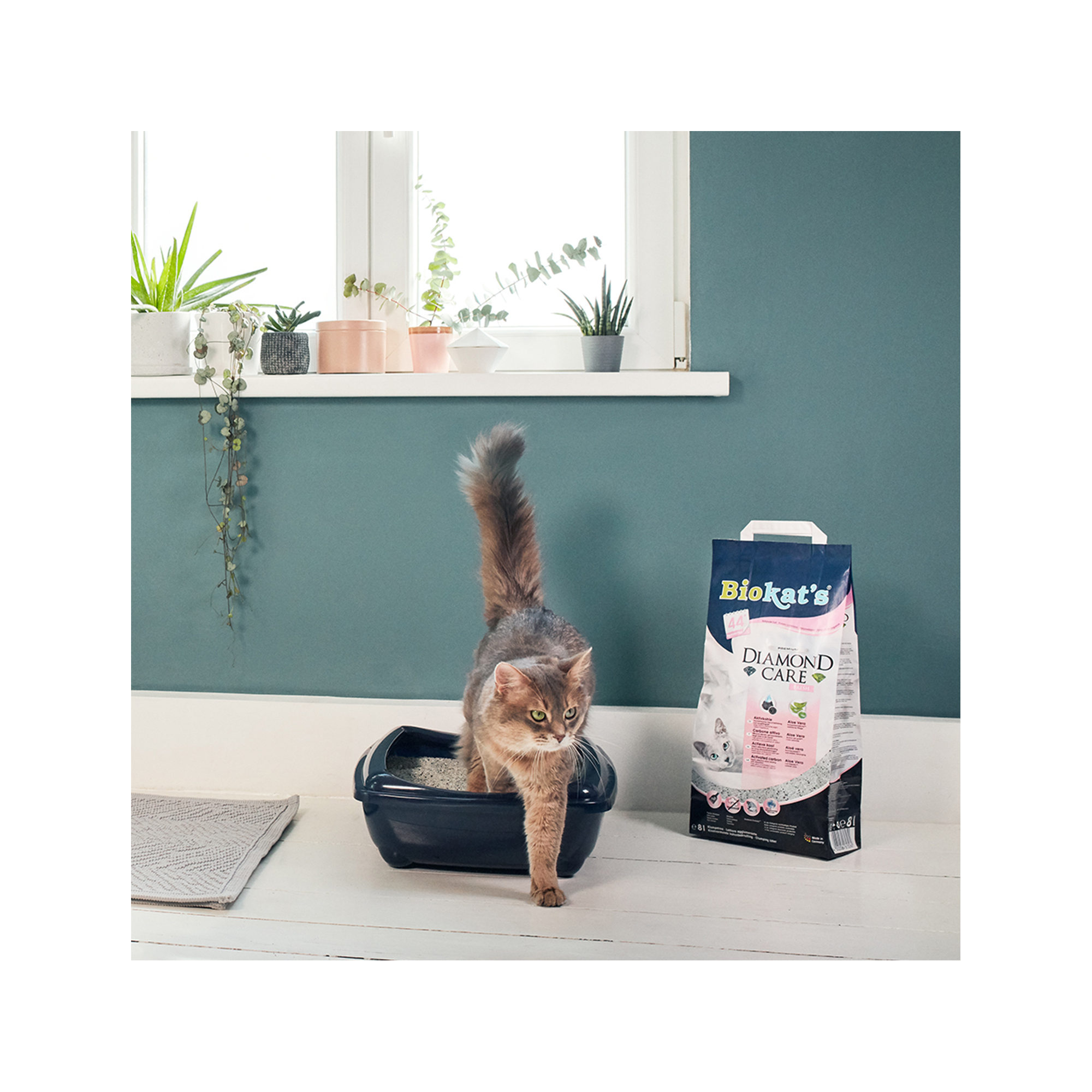 Biokat's Diamond Care