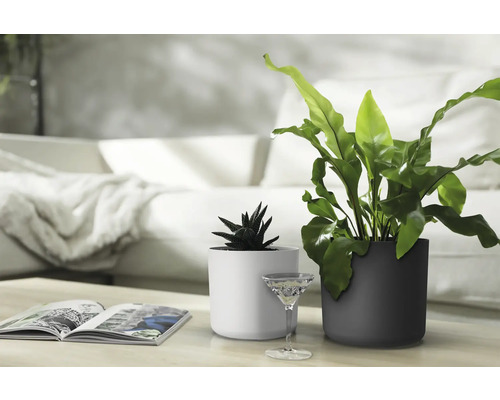 Lora bloempot Ø 25,2 cm H 22,8 cm kunststof wit