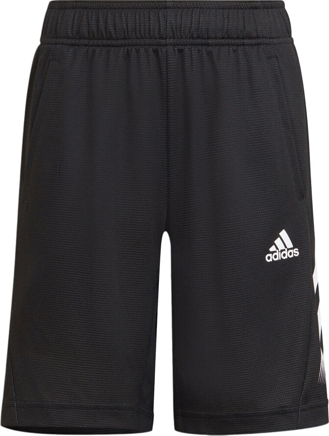 adidas AEROREADY shorts Sort
