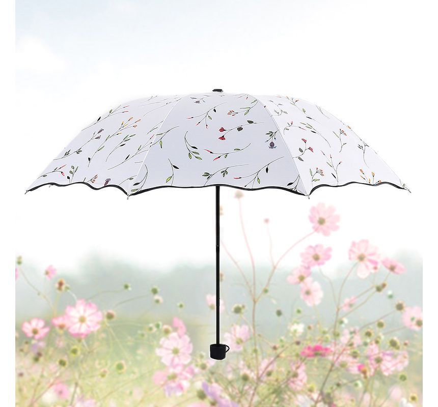 Fenmo - Print Compact Umbrella (verschillende designs)