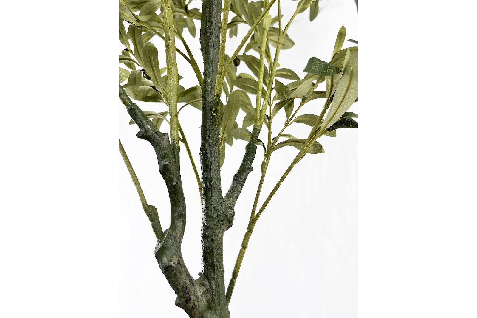 Oliventre potteplante Grønn H160 cm