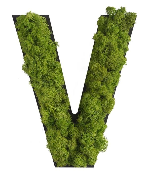 styleGREEN Buchstaben aus Islandmoos, ca. H25