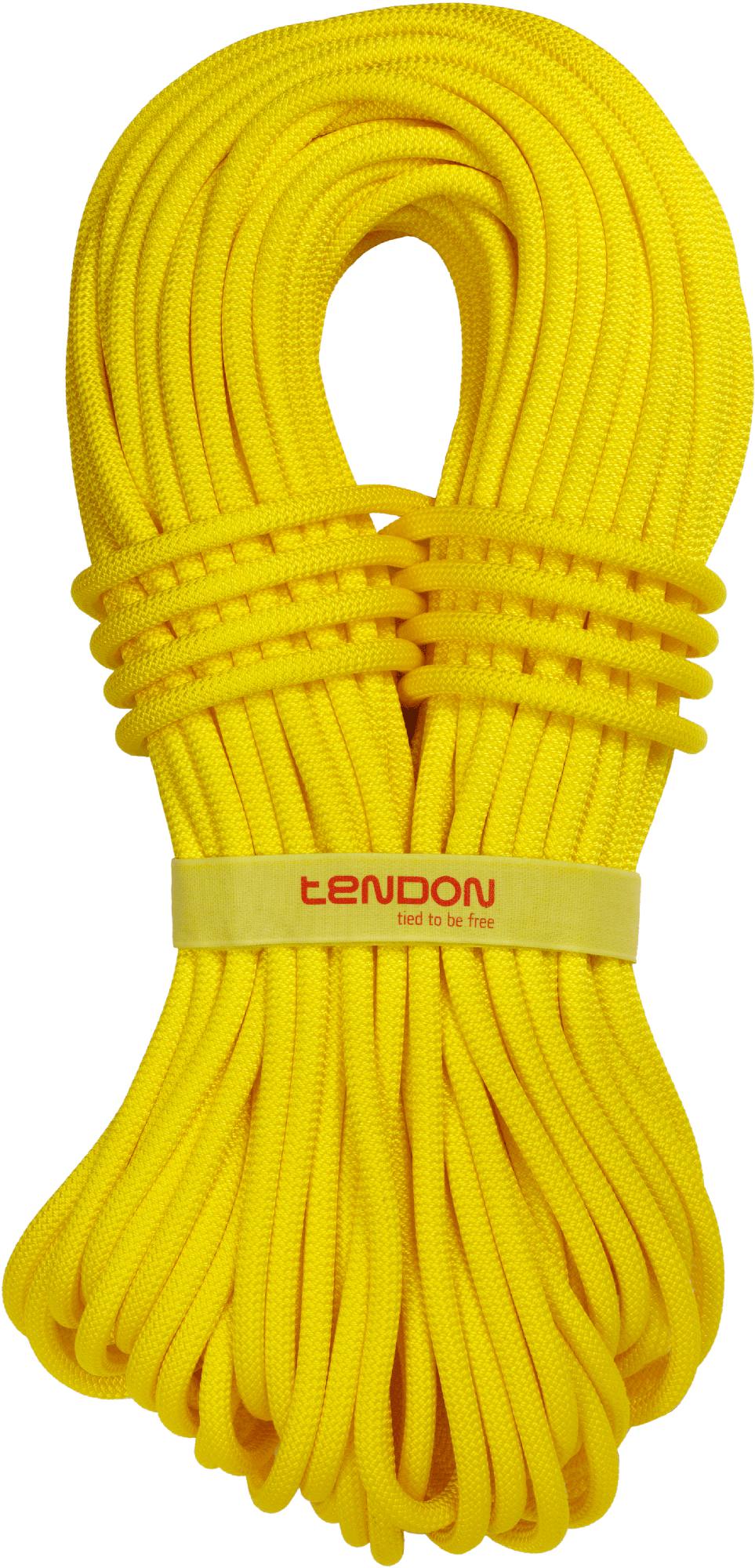 Tendon Ambition 9,8mm CS