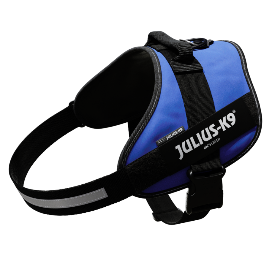 Coleira para cães Julius K9 IDC, azul
