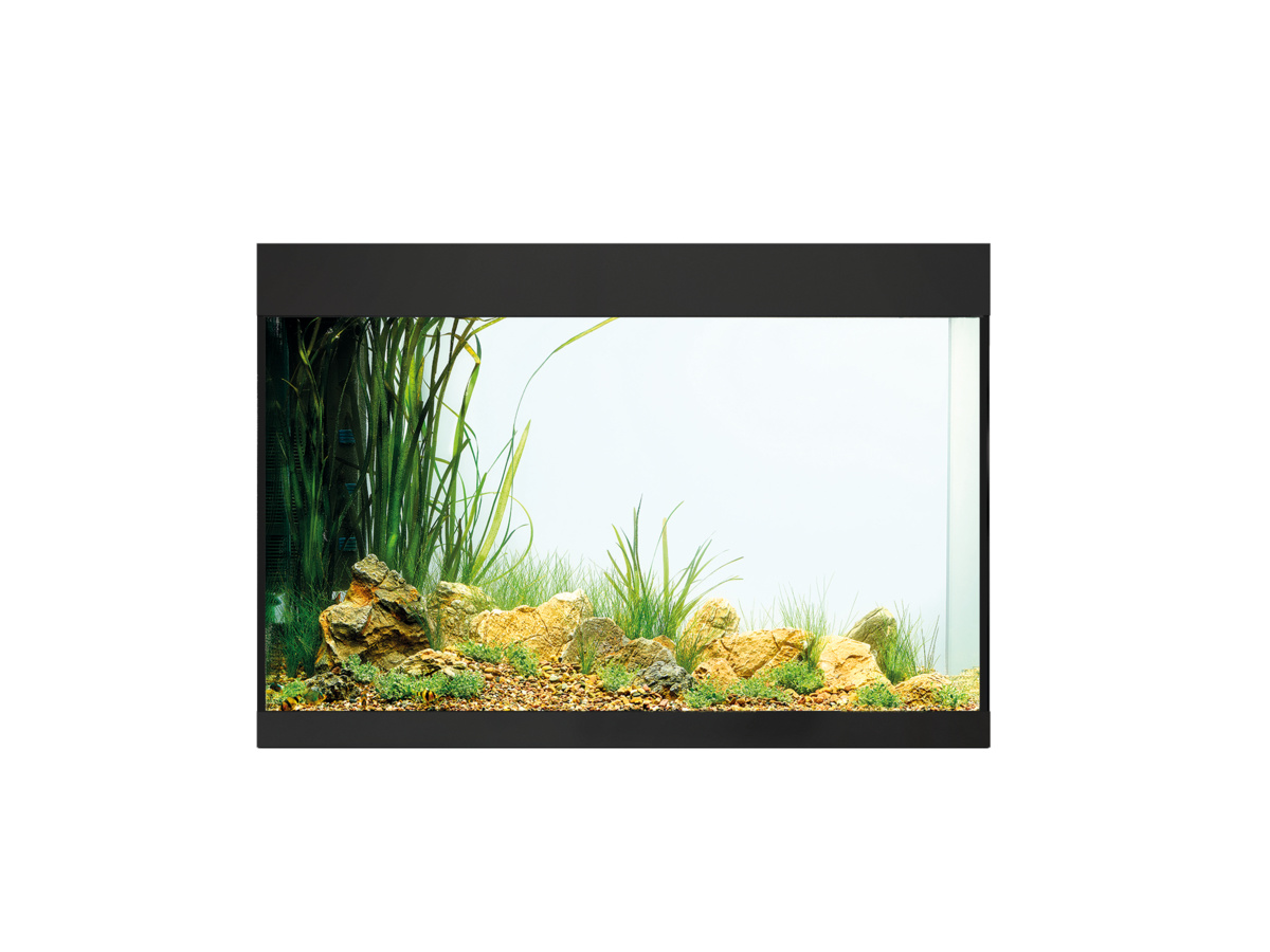 Oase StyleLine 175 Aquarium Zwart